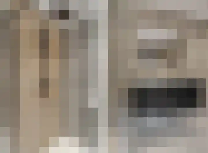 Nieuwe Tielseweg 53 Tiel thumbnail 4