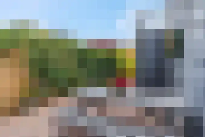 Nieuwe Tielseweg 53 Tiel thumbnail 40