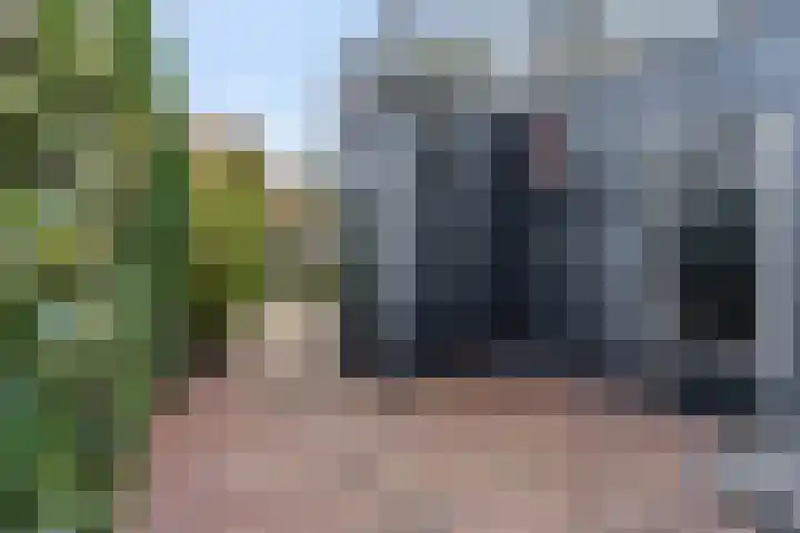 Nieuwe Tielseweg 53 Tiel thumbnail 41