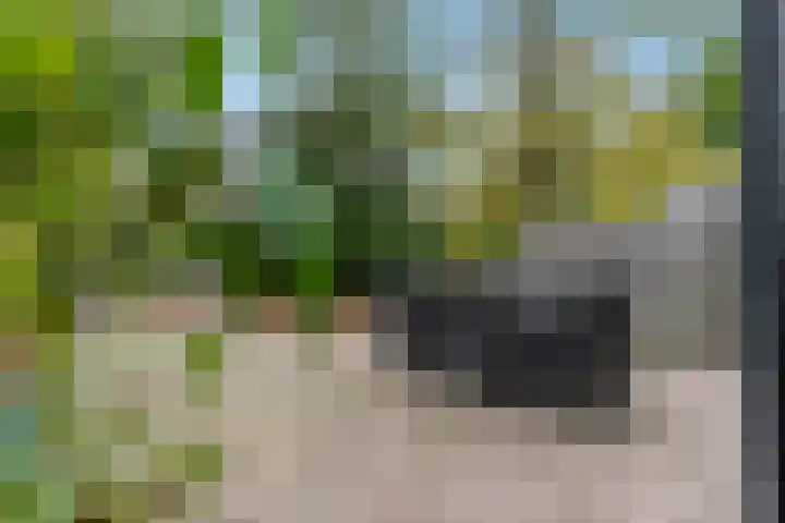 Nieuwe Tielseweg 53 Tiel thumbnail 43