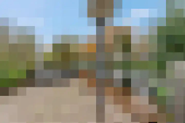 Nieuwe Tielseweg 53 Tiel thumbnail 44