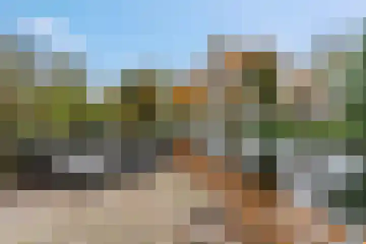 Nieuwe Tielseweg 53 Tiel thumbnail 45