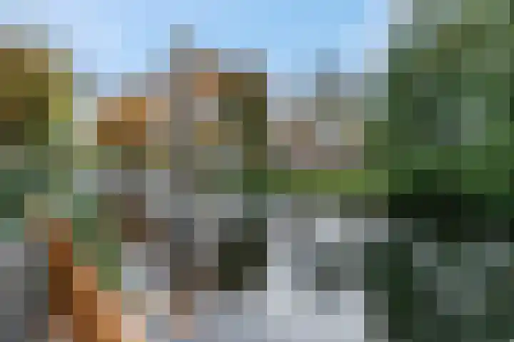 Nieuwe Tielseweg 53 Tiel thumbnail 46