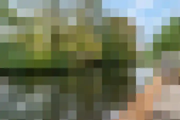Nieuwe Tielseweg 53 Tiel thumbnail 47