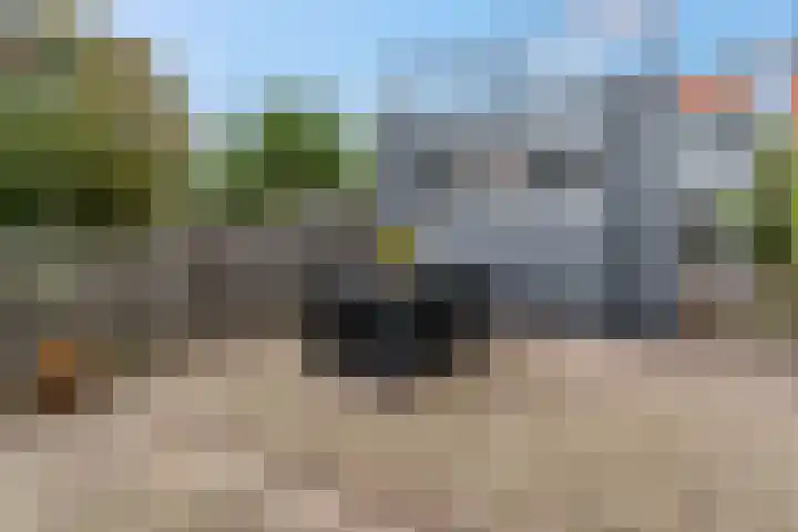 Nieuwe Tielseweg 53 Tiel thumbnail 49