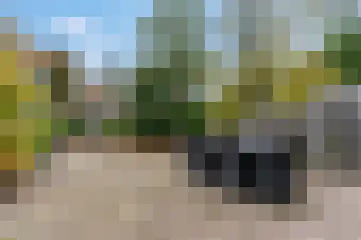 Nieuwe Tielseweg 53 Tiel thumbnail 5