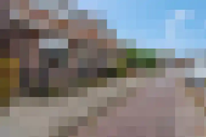 Nieuwe Tielseweg 53 Tiel thumbnail 50