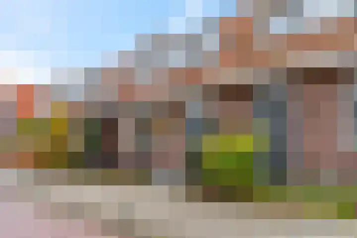 Nieuwe Tielseweg 53 Tiel thumbnail 51