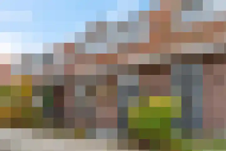 Nieuwe Tielseweg 53 Tiel thumbnail 6