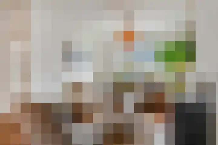 Nieuwe Tielseweg 53 Tiel thumbnail 8