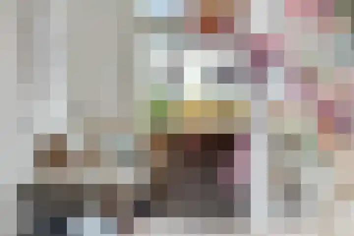 Nieuwe Tielseweg 53 Tiel thumbnail 9