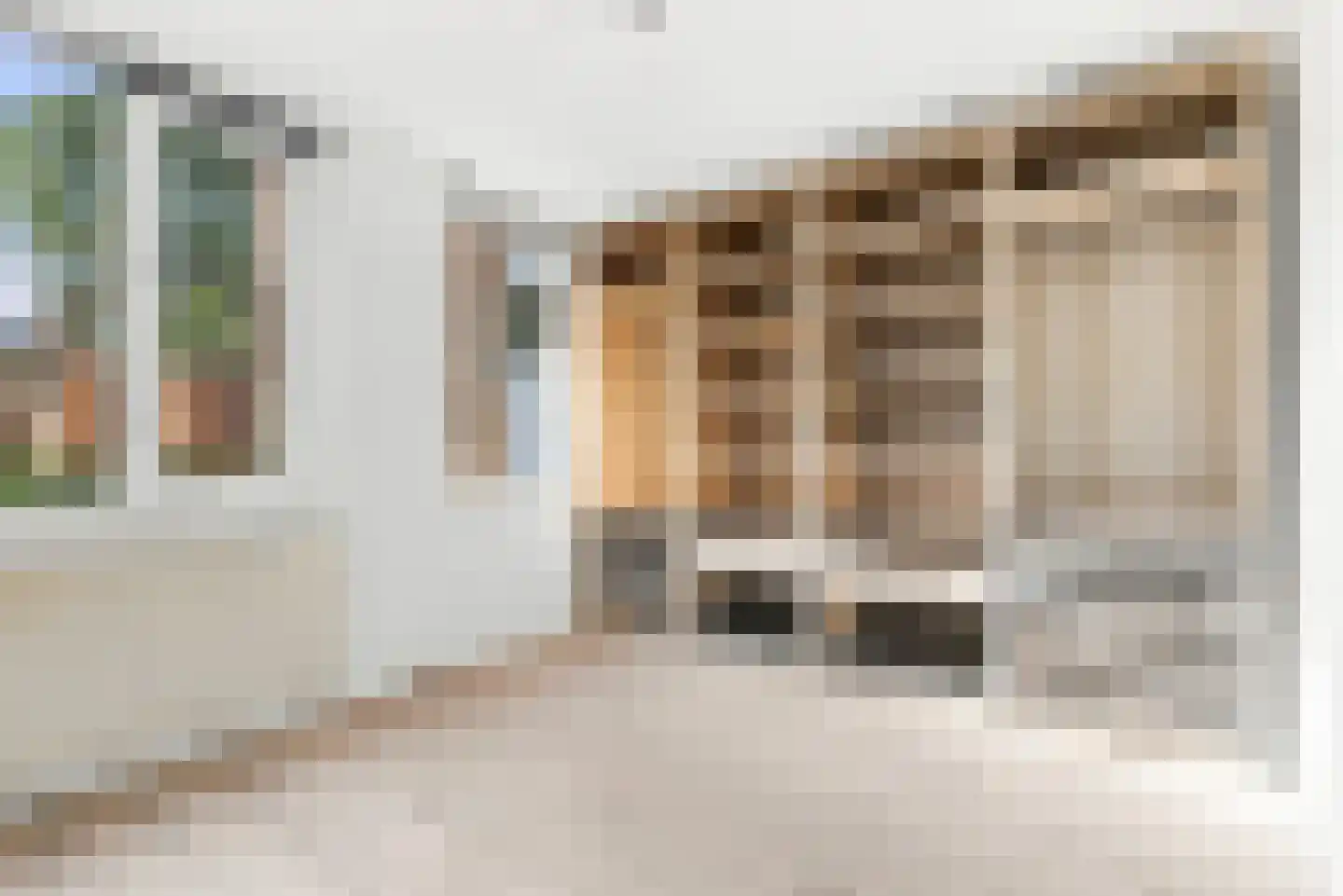 Nieuwe Tielseweg 57 02 Tiel thumbnail 13