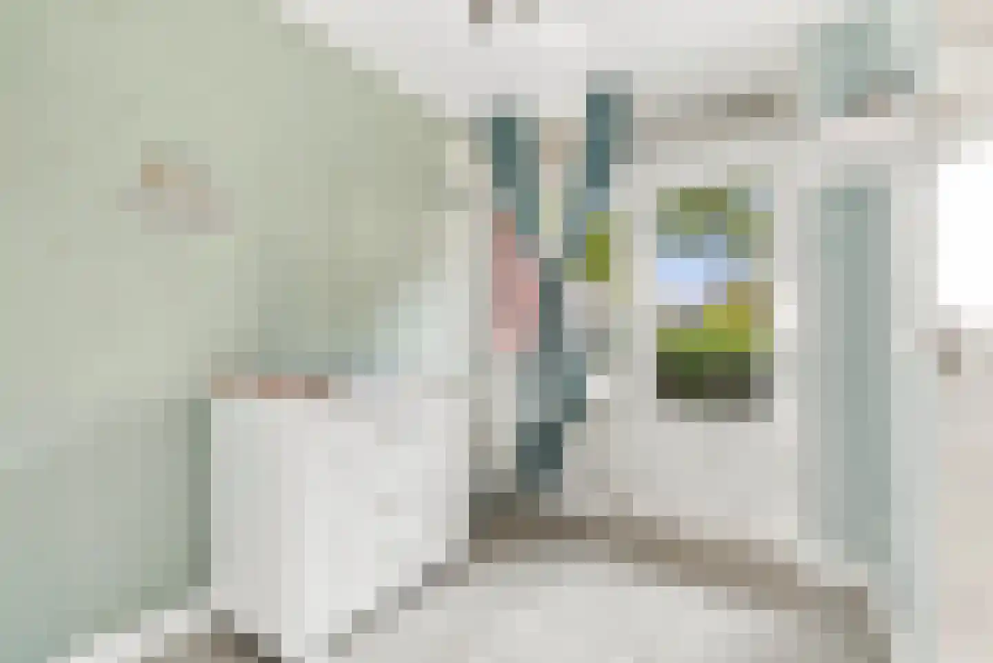 Nieuwe Tielseweg 57 02 Tiel thumbnail 16
