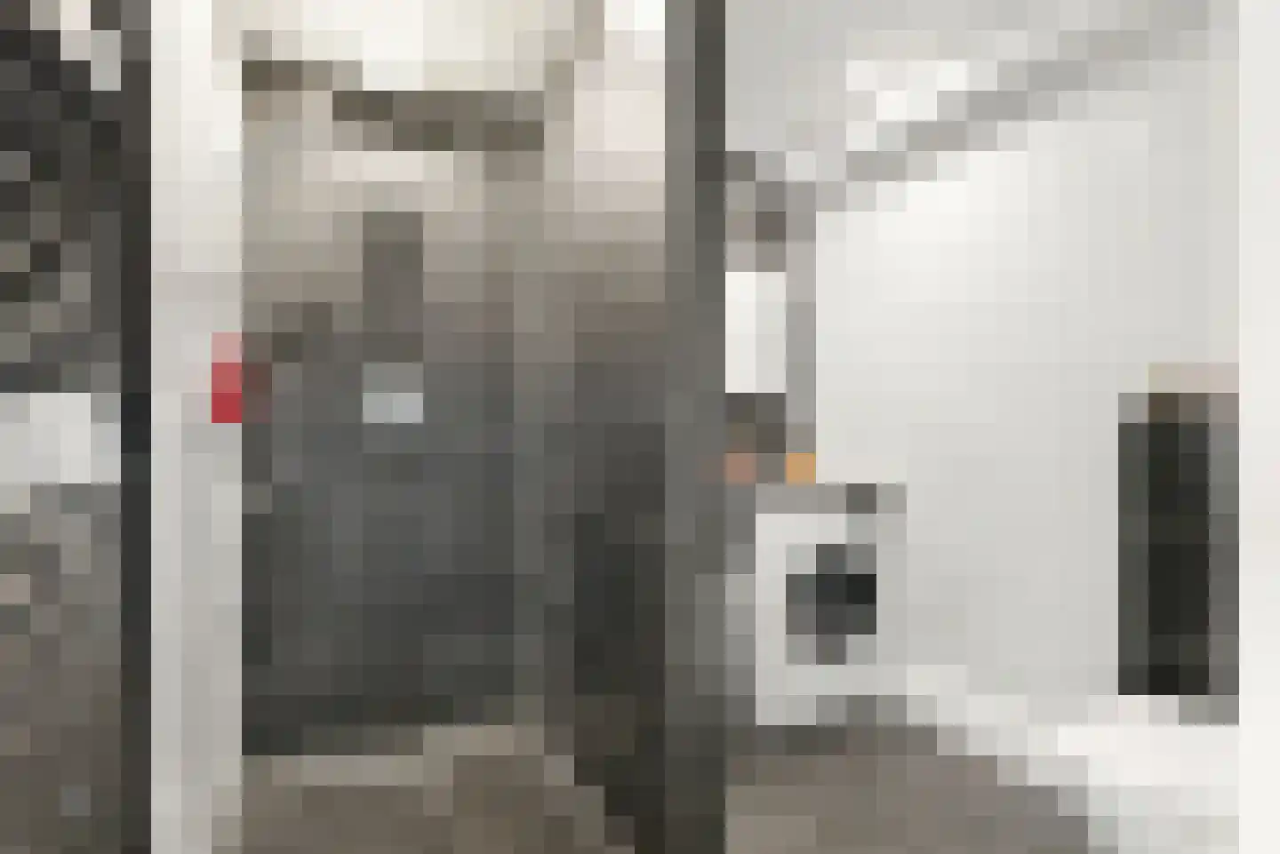 Nieuwe Tielseweg 57 02 Tiel thumbnail 18
