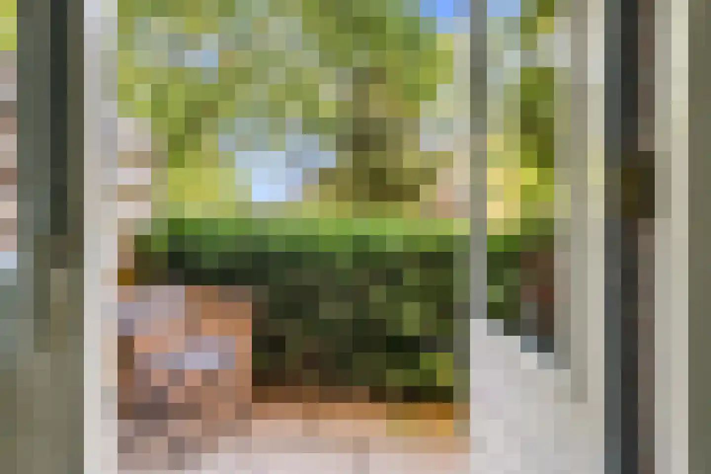 Nieuwe Tielseweg 57 02 Tiel thumbnail 21