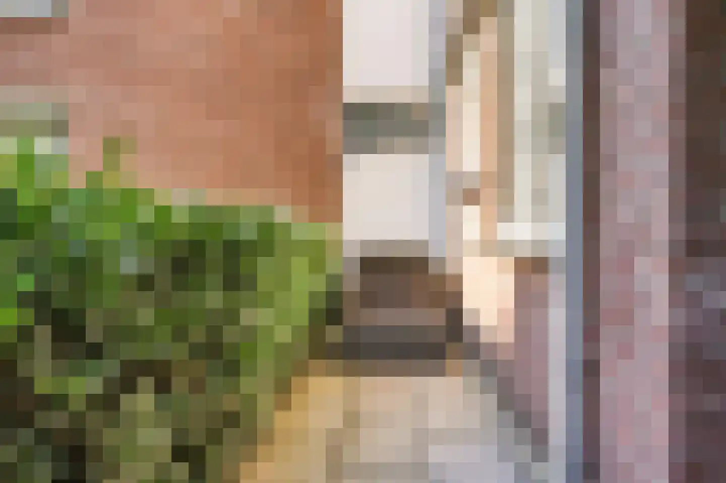 Nieuwe Tielseweg 57 02 Tiel thumbnail 22