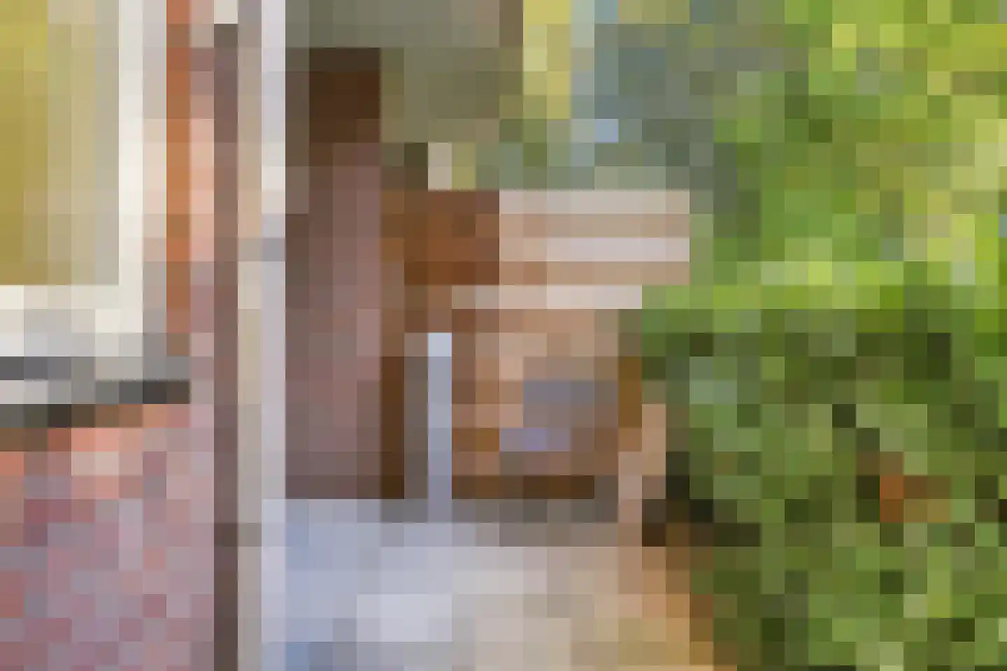 Nieuwe Tielseweg 57 02 Tiel thumbnail 23