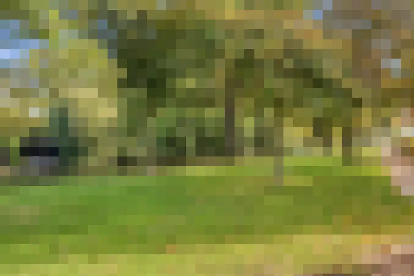 Nieuwe Tielseweg 57 02 Tiel thumbnail 27
