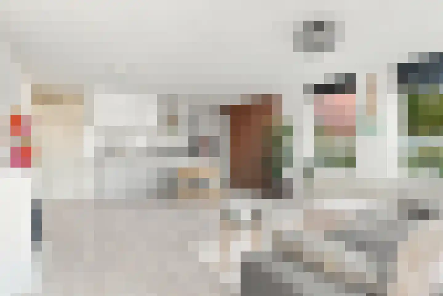 Nieuwe Tielseweg 57 02 Tiel thumbnail 4