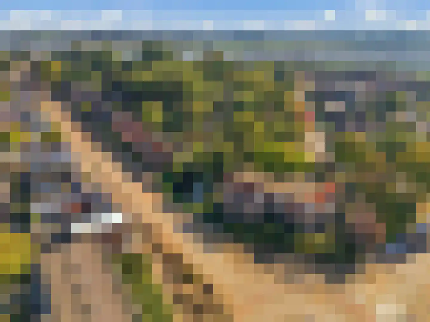 Nieuwe Tielseweg 57 02 Tiel thumbnail 5