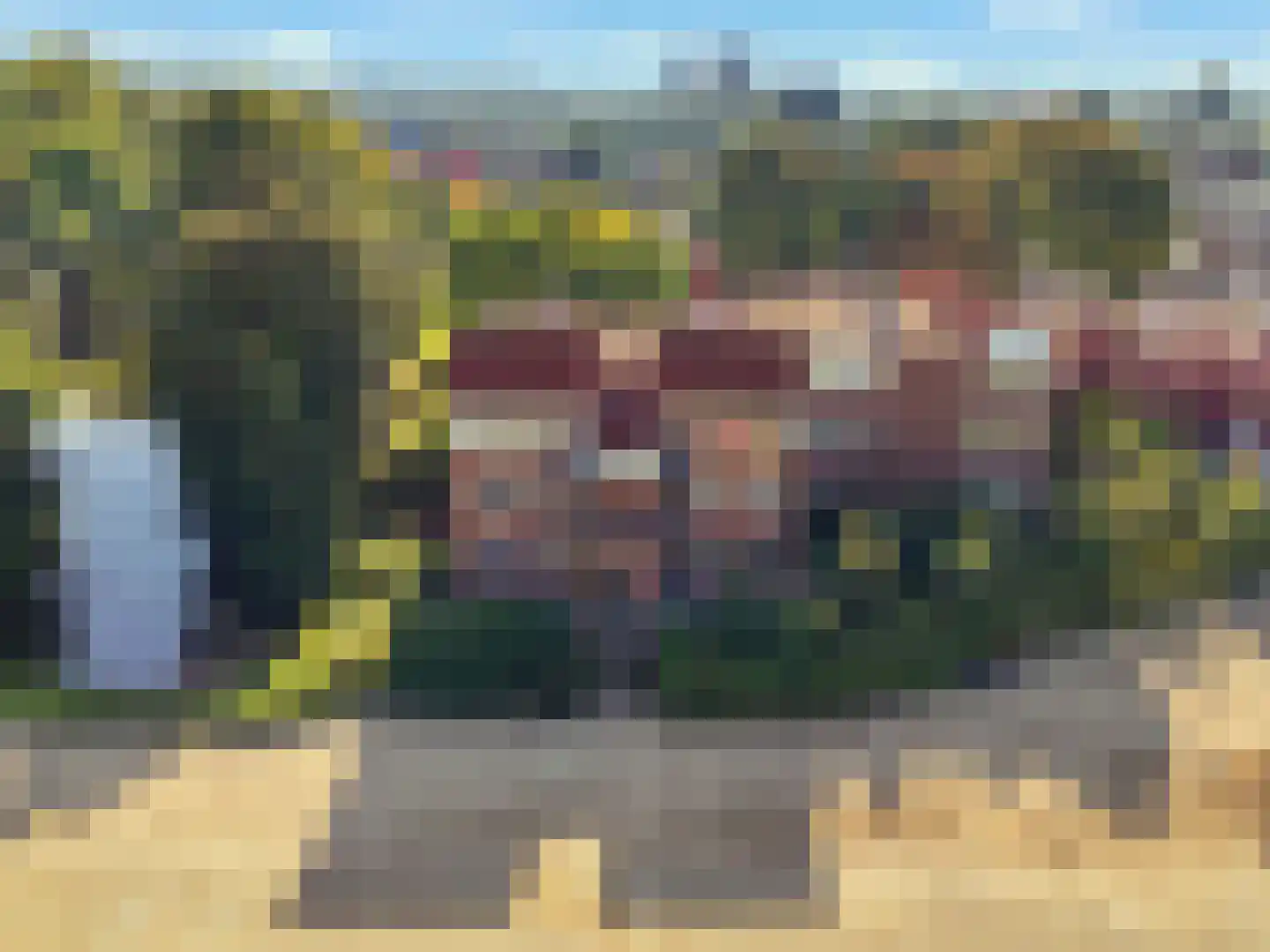 Nieuwe Tielseweg 57 02 Tiel thumbnail 6