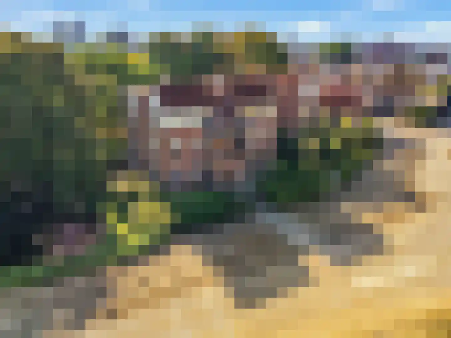 Nieuwe Tielseweg 57 02 Tiel thumbnail 7