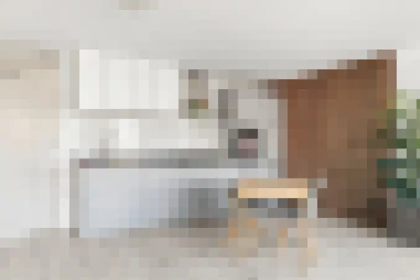 Nieuwe Tielseweg 57 02 Tiel thumbnail 9