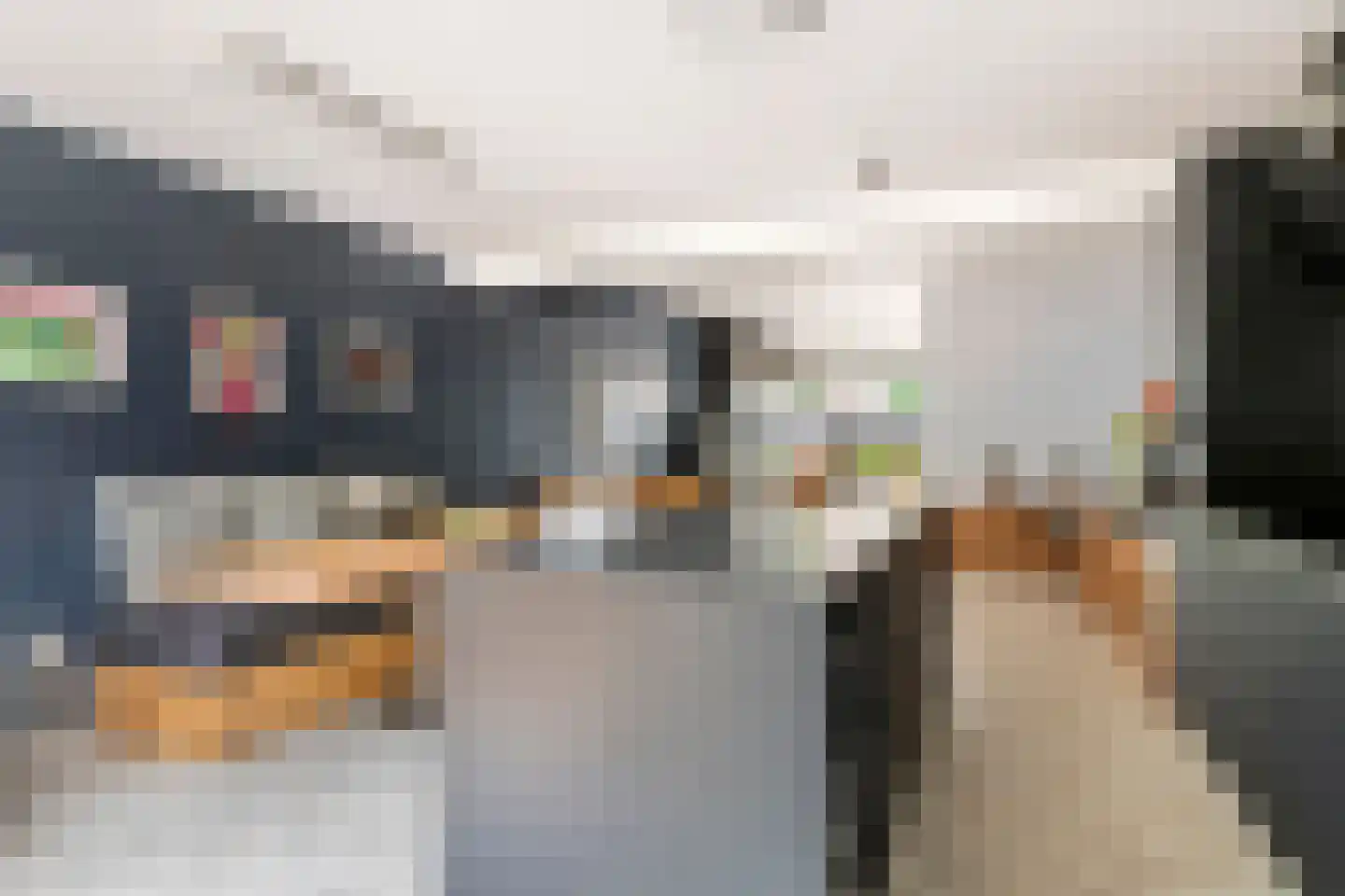 Nieuwe Tielseweg 9 Tiel thumbnail 10