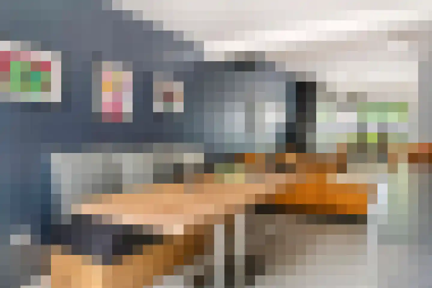 Nieuwe Tielseweg 9 Tiel thumbnail 11