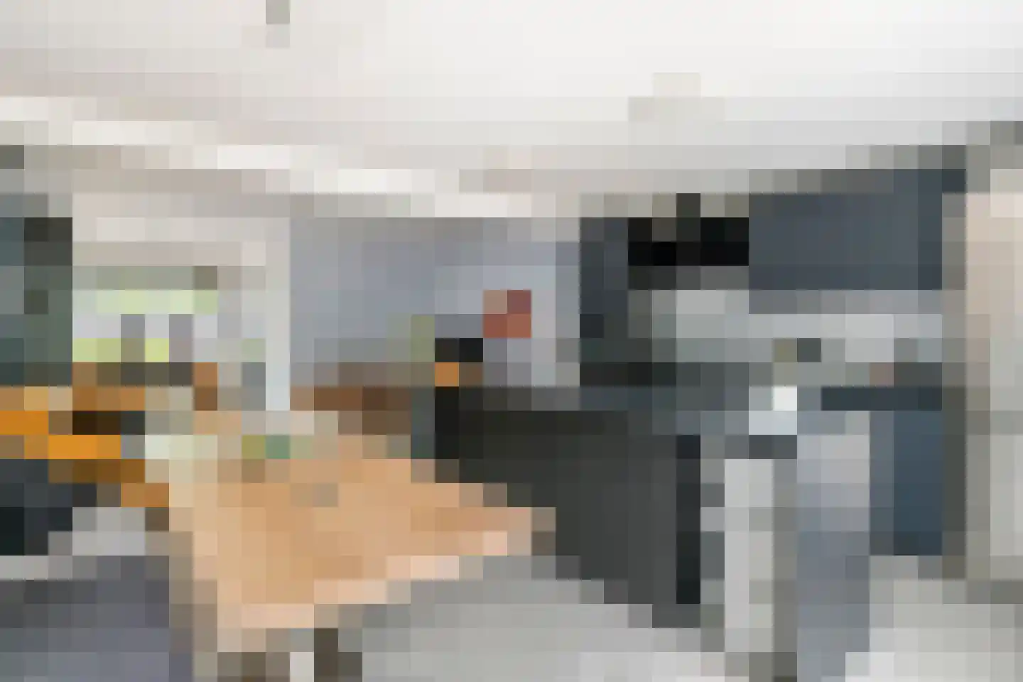 Nieuwe Tielseweg 9 Tiel thumbnail 12