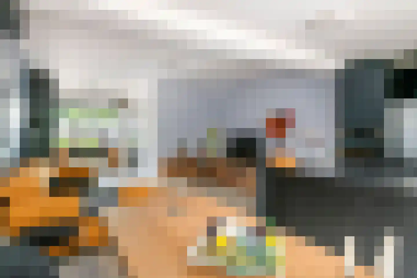 Nieuwe Tielseweg 9 Tiel thumbnail 13