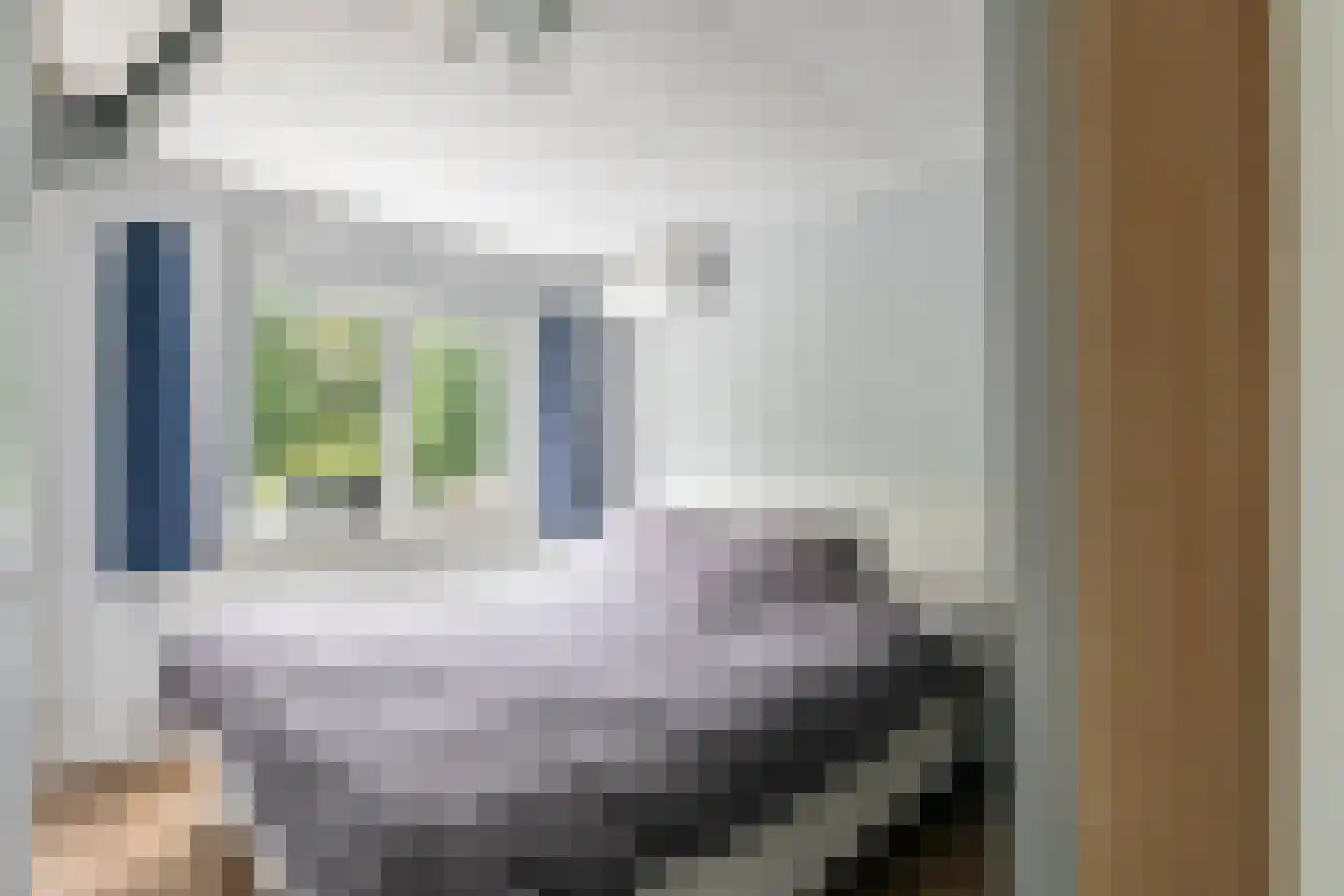 Nieuwe Tielseweg 9 Tiel thumbnail 16