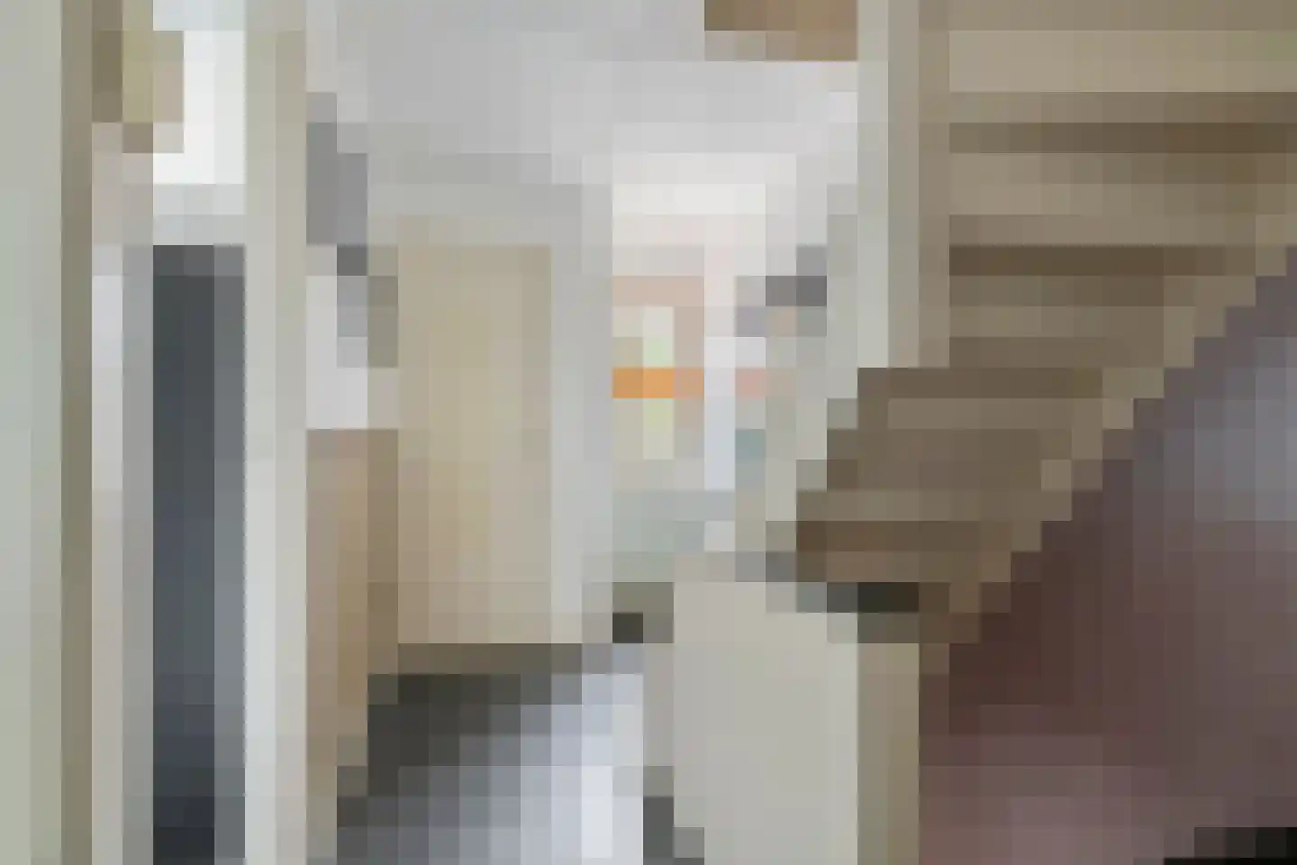 Nieuwe Tielseweg 9 Tiel thumbnail 21