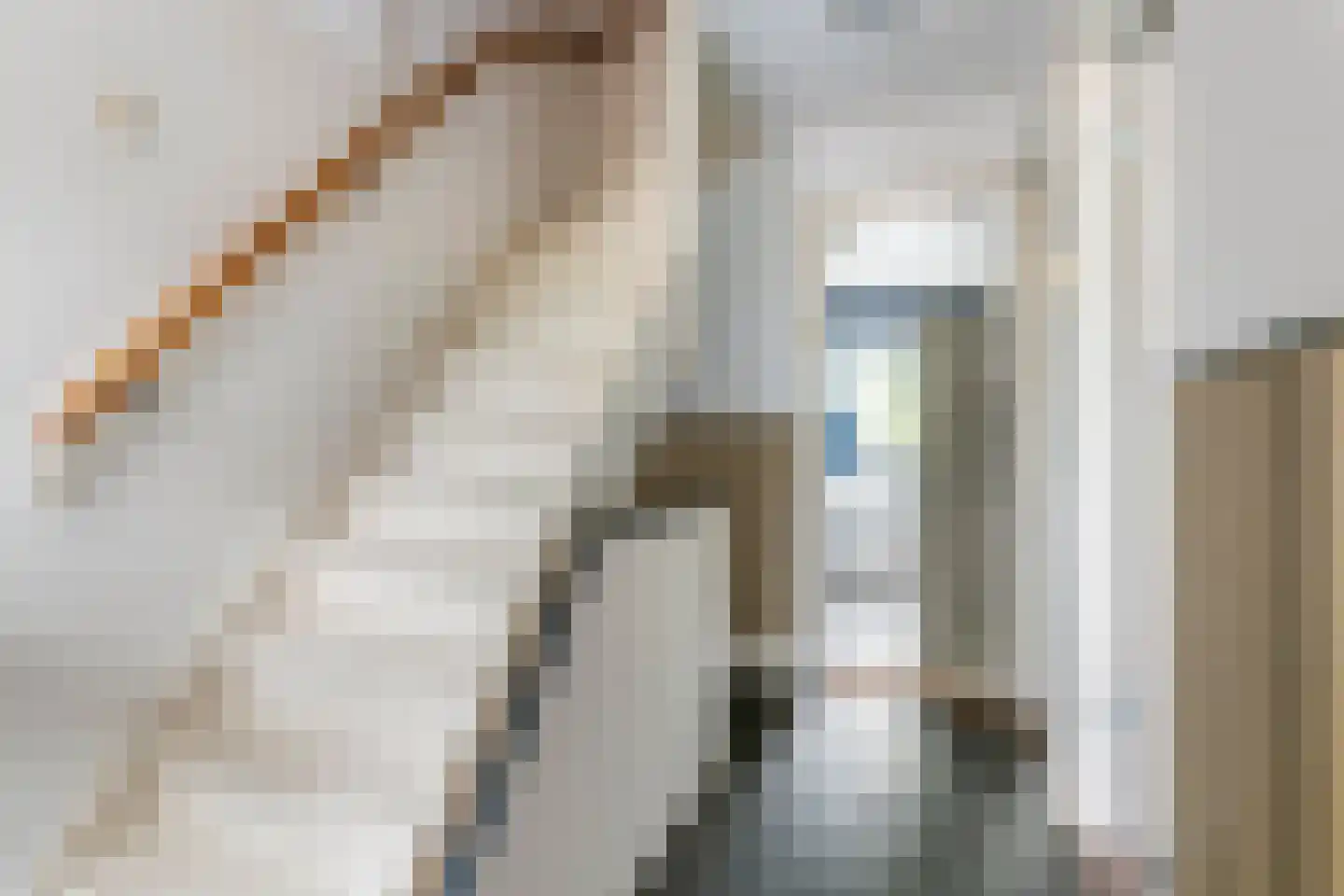 Nieuwe Tielseweg 9 Tiel thumbnail 22
