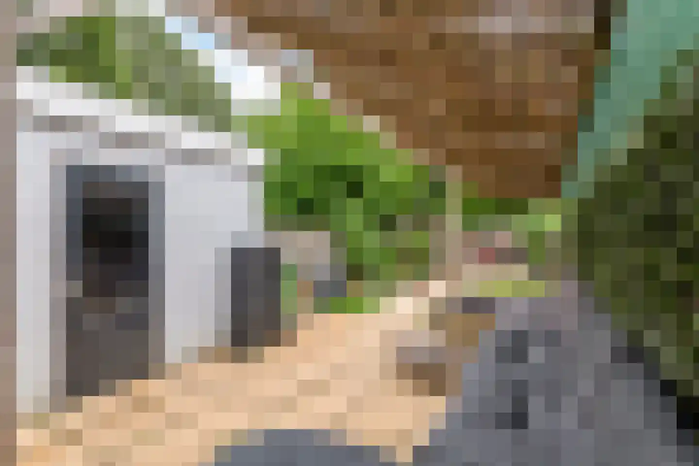 Nieuwe Tielseweg 9 Tiel thumbnail 23
