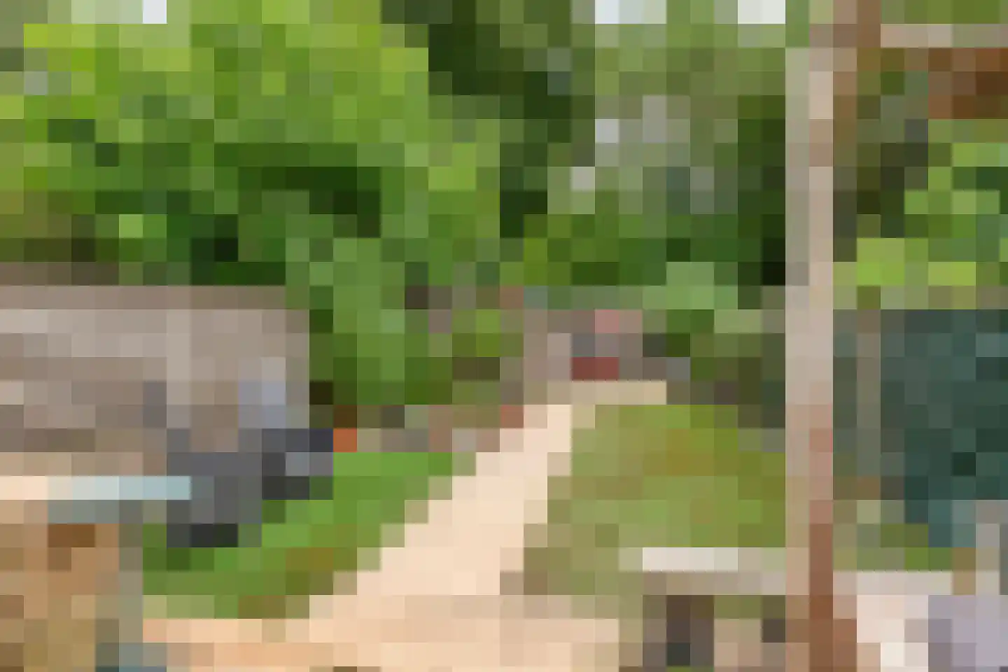 Nieuwe Tielseweg 9 Tiel thumbnail 24
