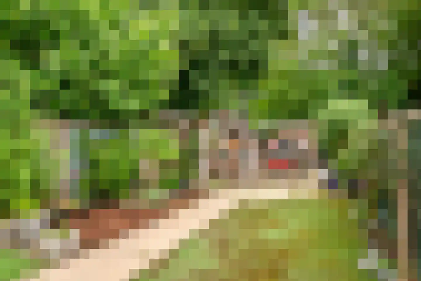 Nieuwe Tielseweg 9 Tiel thumbnail 25