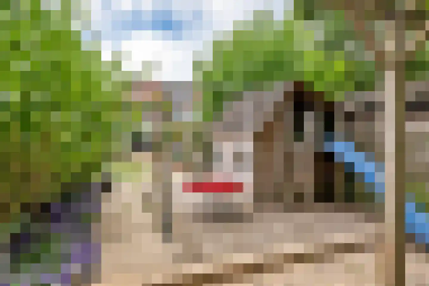 Nieuwe Tielseweg 9 Tiel thumbnail 26