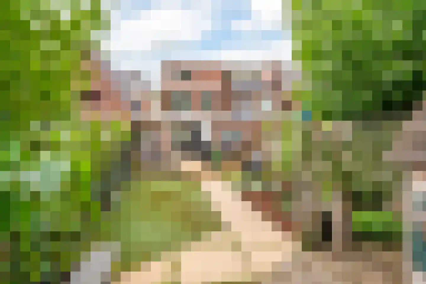 Nieuwe Tielseweg 9 Tiel thumbnail 27