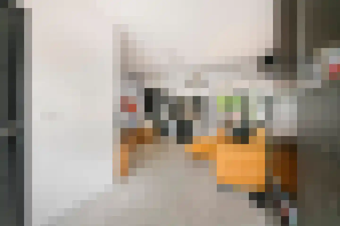 Nieuwe Tielseweg 9 Tiel thumbnail 5