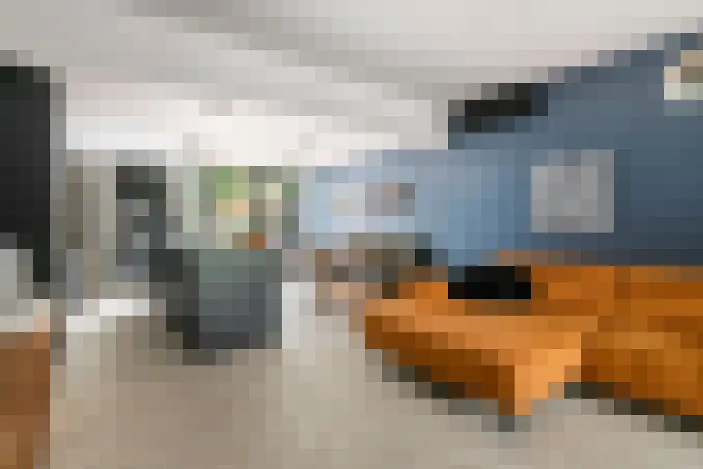 Nieuwe Tielseweg 9 Tiel thumbnail 7