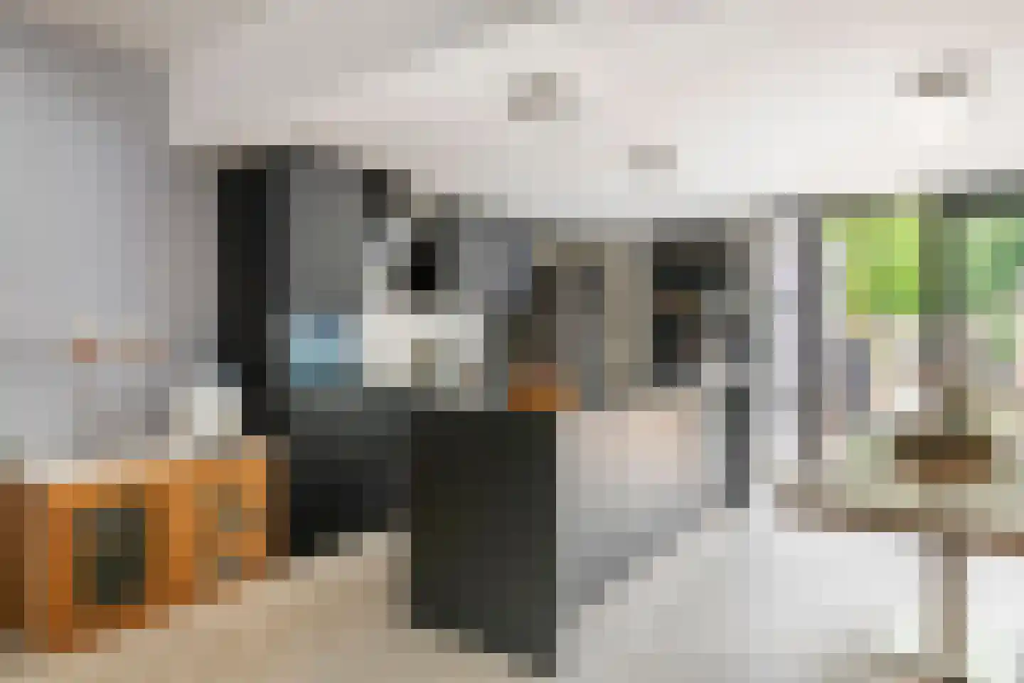 Nieuwe Tielseweg 9 Tiel thumbnail 8