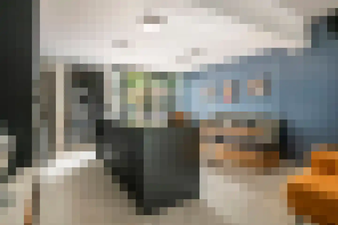 Nieuwe Tielseweg 9 Tiel thumbnail 9
