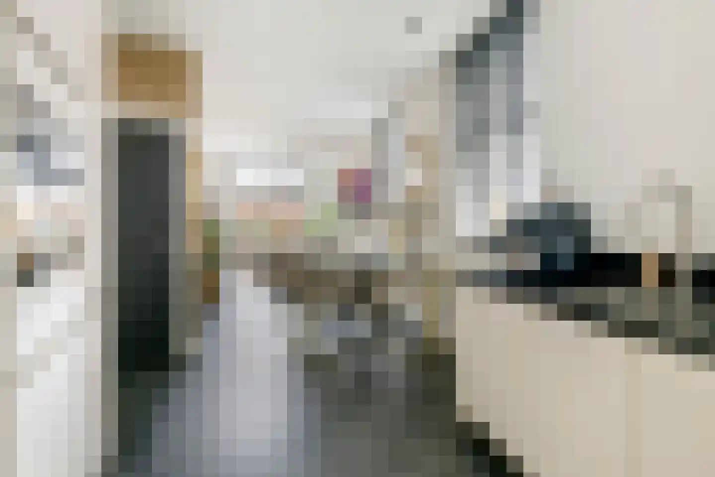Nieuwe Tielseweg 90 Tiel thumbnail 11