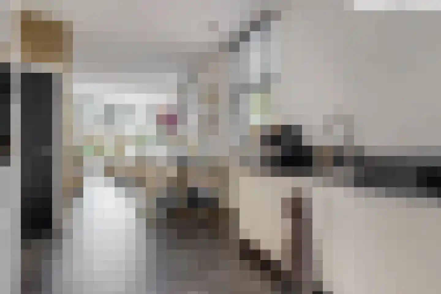 Nieuwe Tielseweg 90 Tiel thumbnail 11