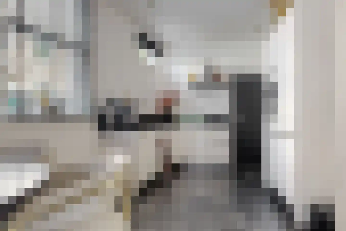Nieuwe Tielseweg 90 Tiel thumbnail 12