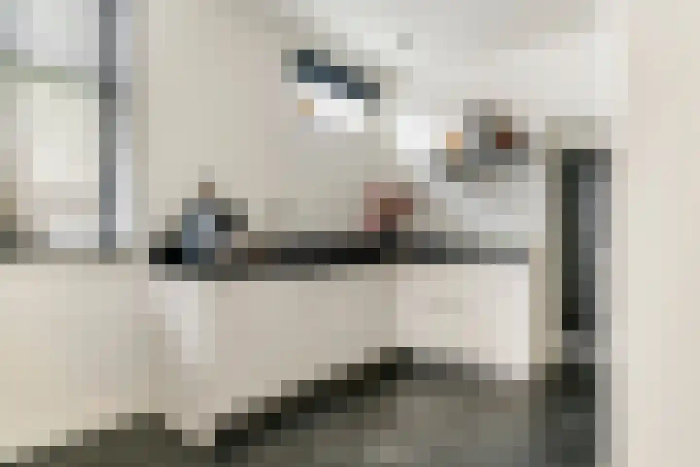 Nieuwe Tielseweg 90 Tiel thumbnail 13