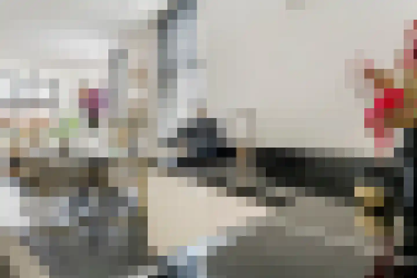 Nieuwe Tielseweg 90 Tiel thumbnail 15