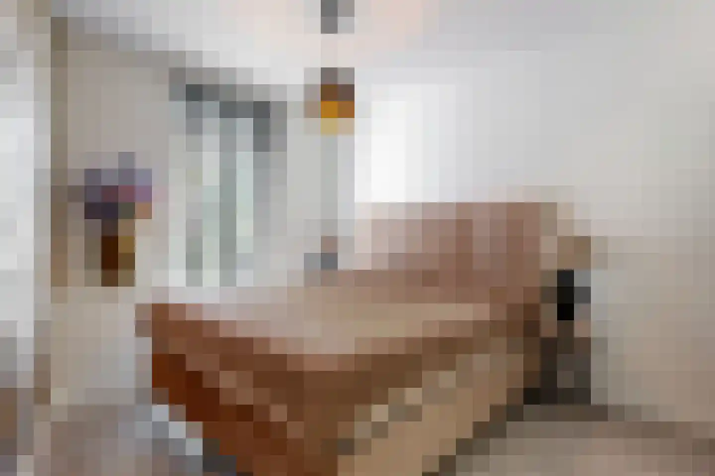 Nieuwe Tielseweg 90 Tiel thumbnail 17