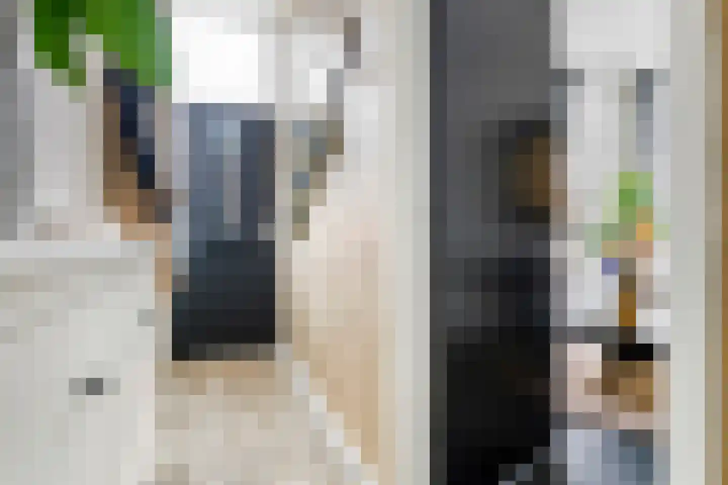 Nieuwe Tielseweg 90 Tiel thumbnail 18